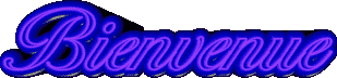 bienvenue1.gif
